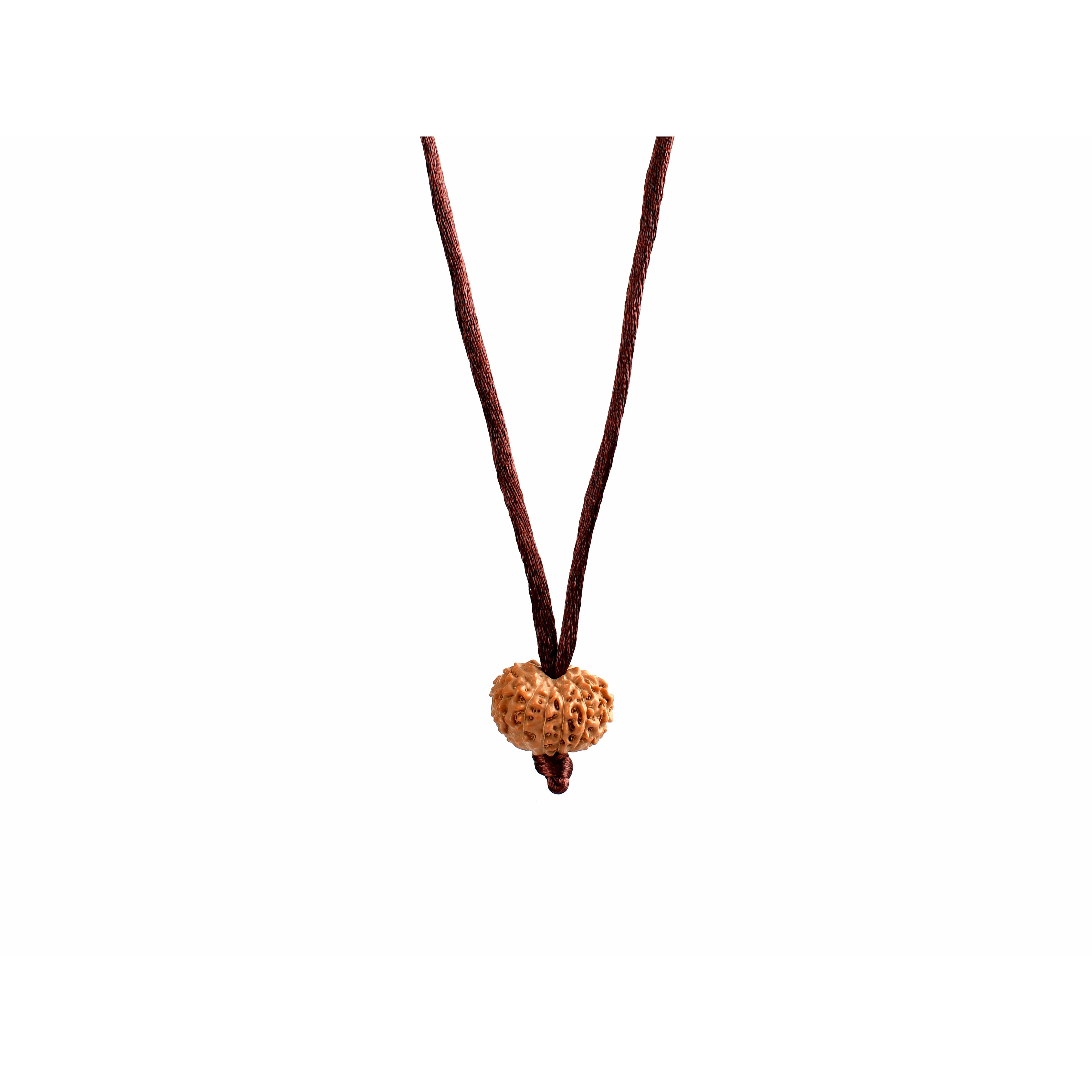 Rudraksha_Java à 12 yeux